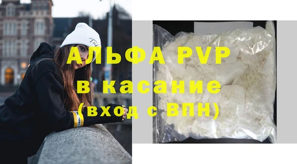 дмт Белокуриха