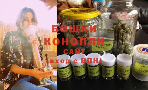 дмт Белокуриха
