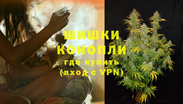 дмт Белокуриха