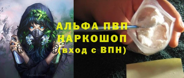 дмт Белокуриха
